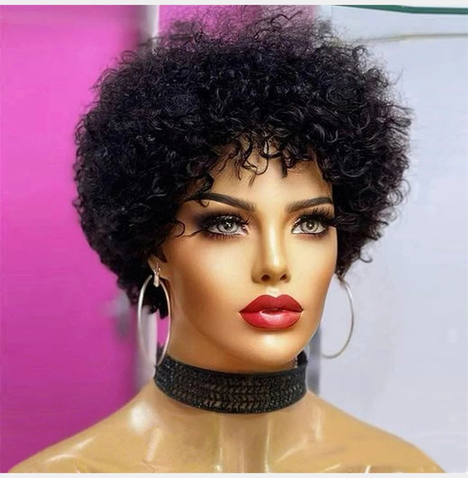 Large Bouncy Afro Kinky Curly Wigs For Black Women Glueless Pre Plucked Machine Made Wig Brazilian Virgin Remy Human Hair Wigs